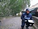 Paris (273)